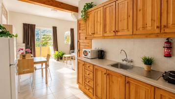 Appartement Économique, balcon, vue vallée | Cuisine privée | Grand réfrigérateur, chaise haute, tables à manger