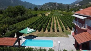 A view of a vineyard with rows of grapevines, a swimming pool, and a building with a red roof.