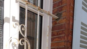 A window with metal bars and a mailbox on the ledge. - Cœur de Ville & Sérénité: Your haven of peace in the heart of town! (Toulouse)