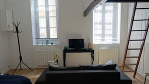 A room with a black sofa, a TV on a black stand, a radiator, and two windows with blinds. - Cœur de Ville & Sérénité: Your haven of peace in the heart of town! (Toulouse)