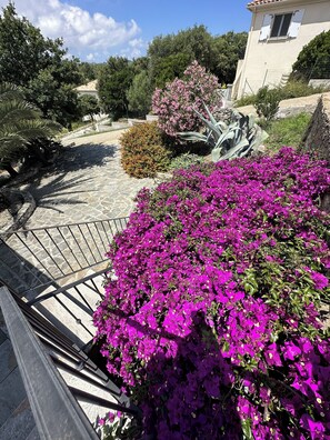 Terrein van de accommodatie