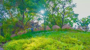 Unclassified image, 4 of 79, button - Gorgora Eco Resort By Ethiopian Skylight (Gorgora)