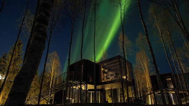 A modern cabin with a glass facade, surrounded by trees, and illuminated by the Northern Lights. - Silver Birch Resort (Rovaniemi)