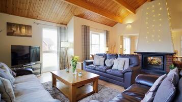 Smart TV, fireplace, DVD player, books