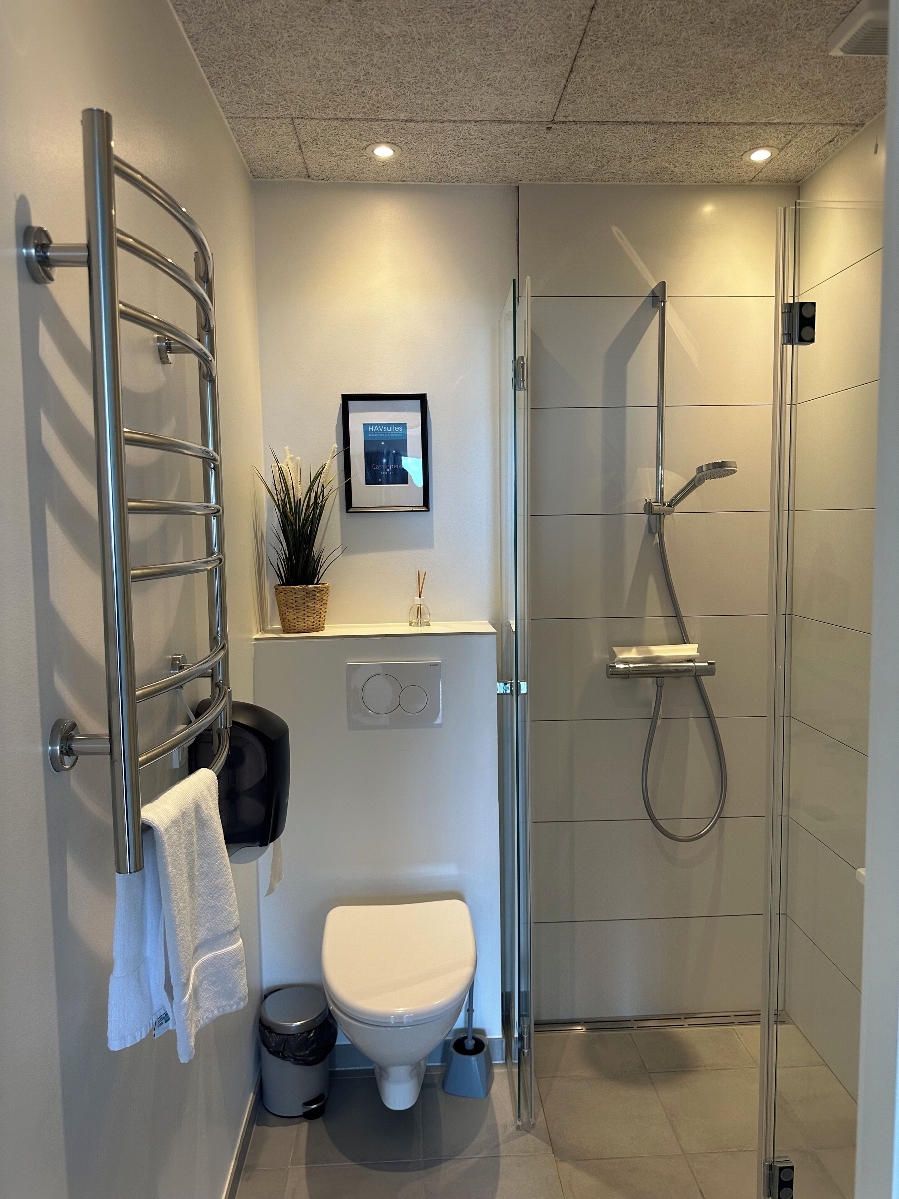 Een moderne badkamer met toilet, wastafel, handdoekrek, douche en een ingelijste foto aan de muur.