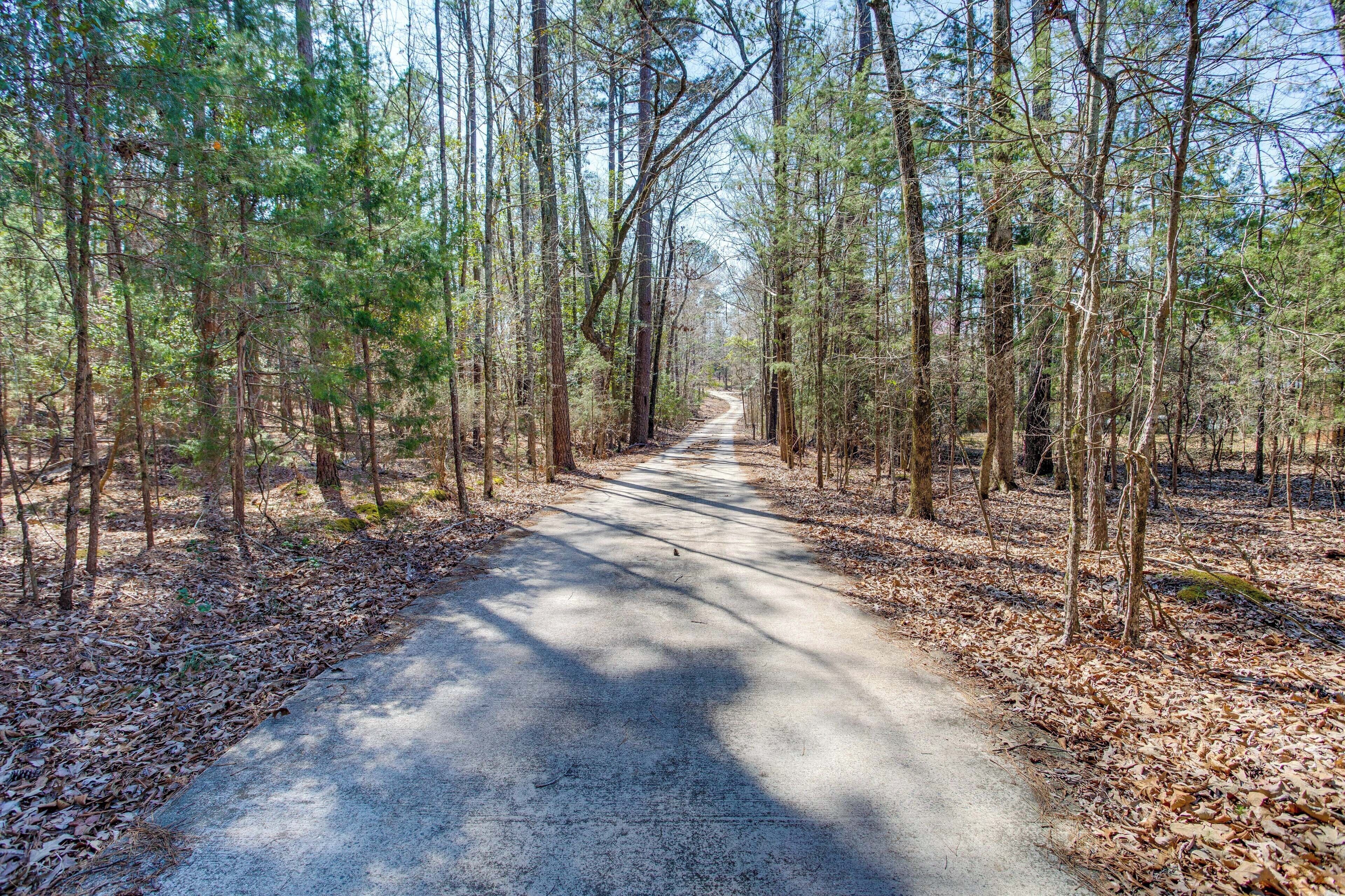 A forested path with tall trees and a clear sky.