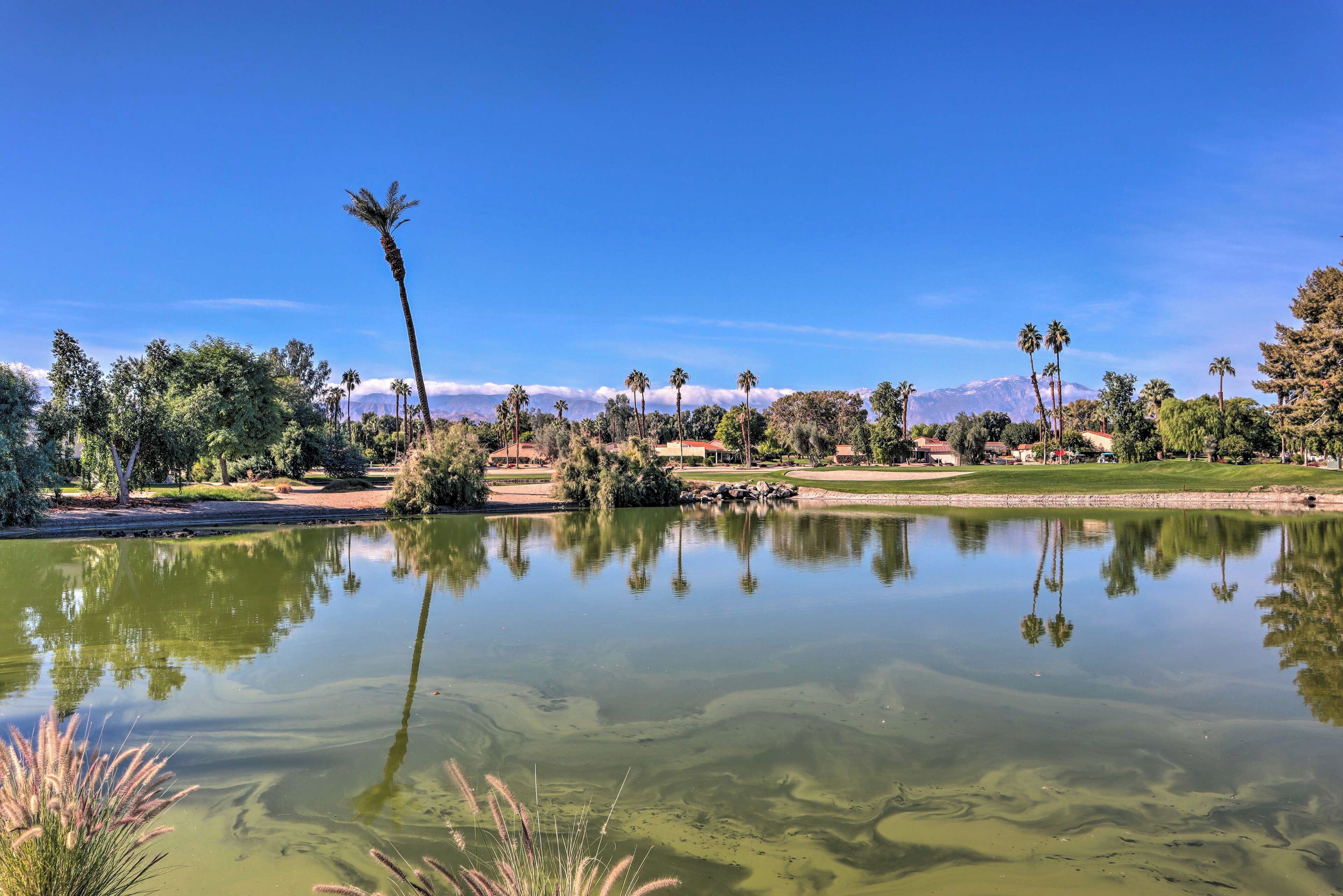 A tranquil lake with reflections of palm trees and mountains in the background.