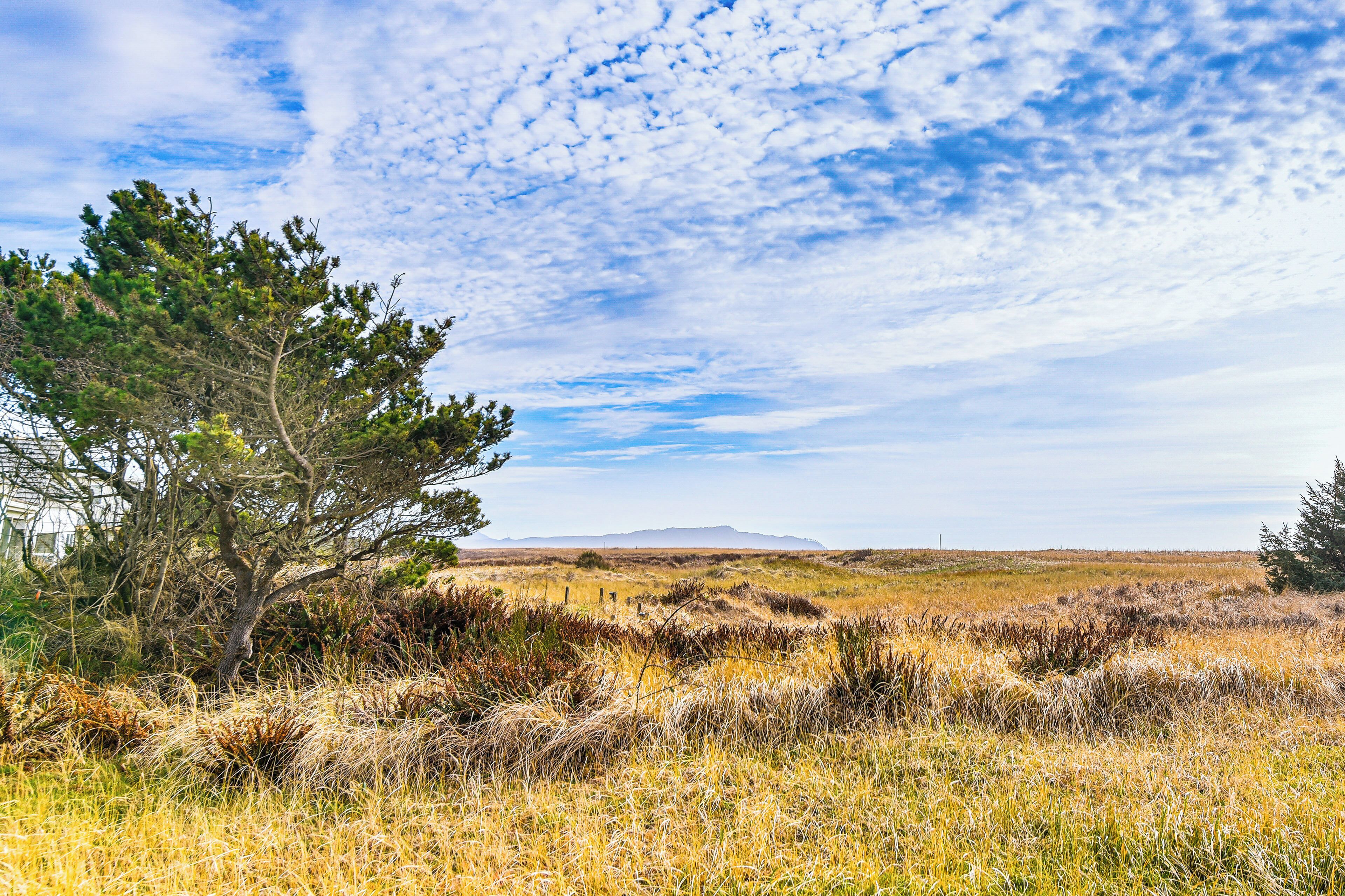 A natural landscape with a tree, grassy fields, and distant mountains under a partly cloudy sky.