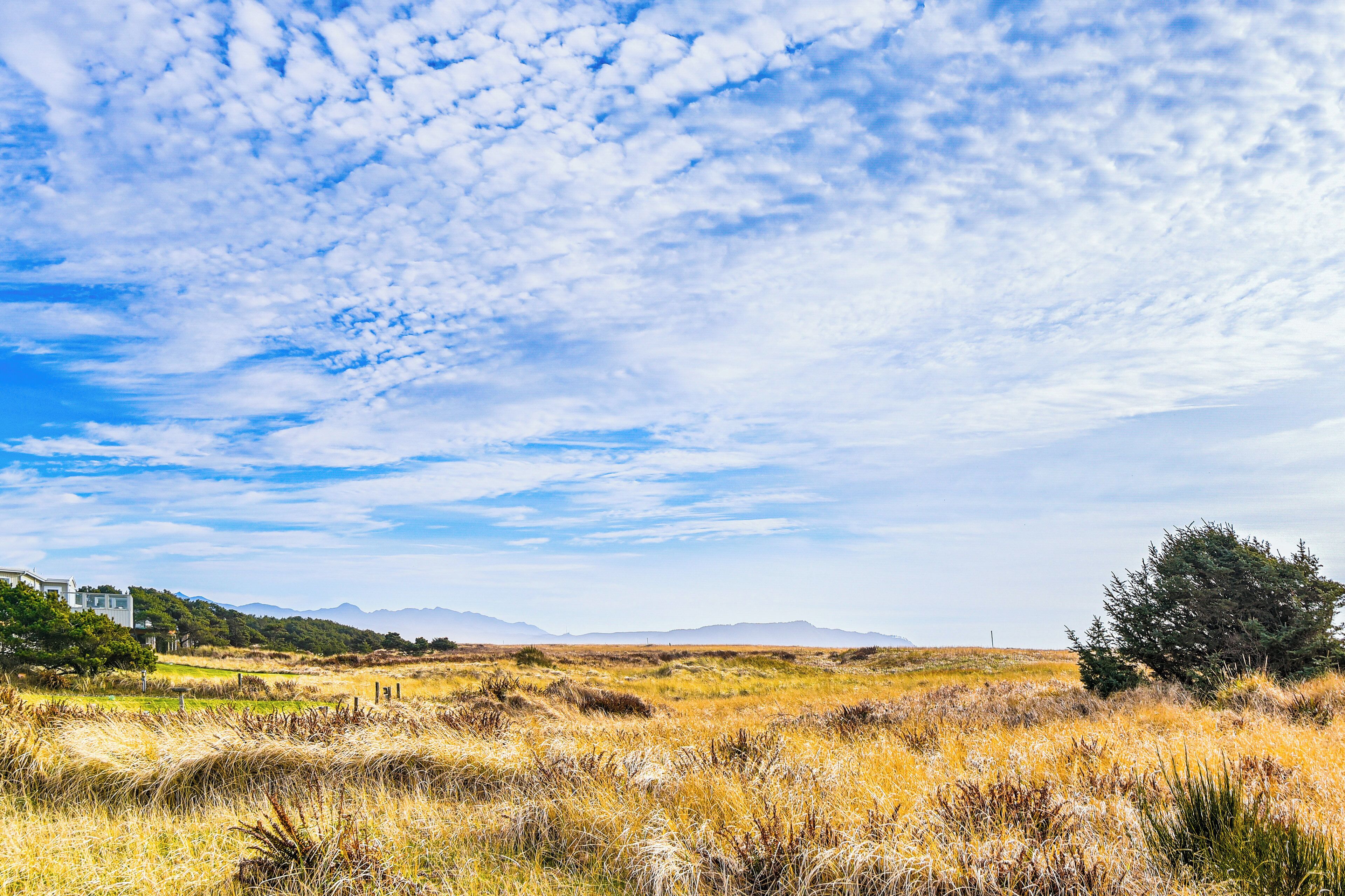 Un paisaje extenso con cielo despejado, algunos árboles y montañas a lo lejos.