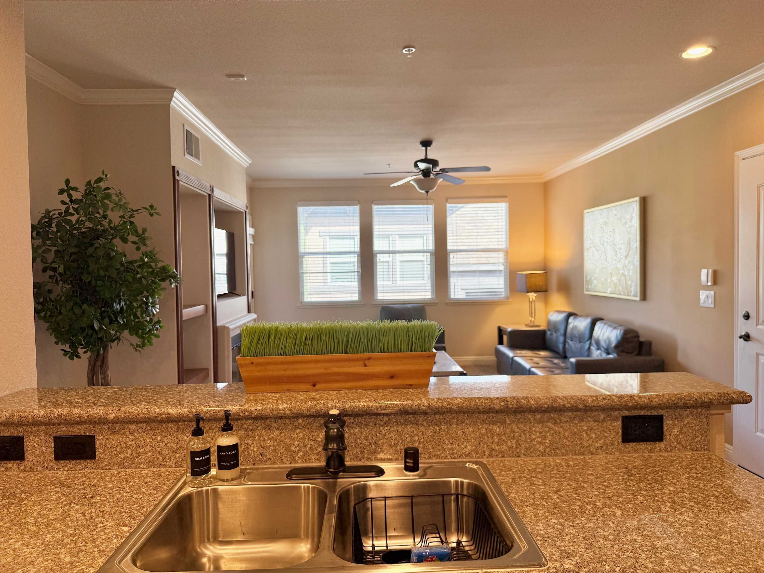 Apartament | 1 dormitori i Internet 