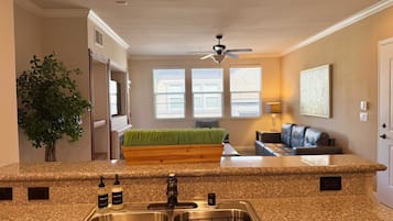 Apartament | 1 dormitori i Internet