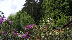 A garden with various flowering plants, a wooden fence, and a backdrop of trees and a clear sky. - The mountain Cabin (scopa)