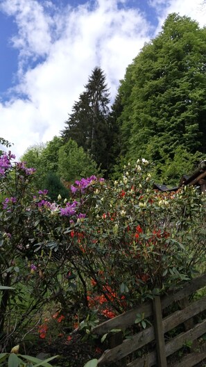 Property grounds - The mountain Cabin (scopa)