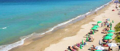 A beach with rows of sun loungers and umbrellas, a clear blue sea, and a sandy shore.