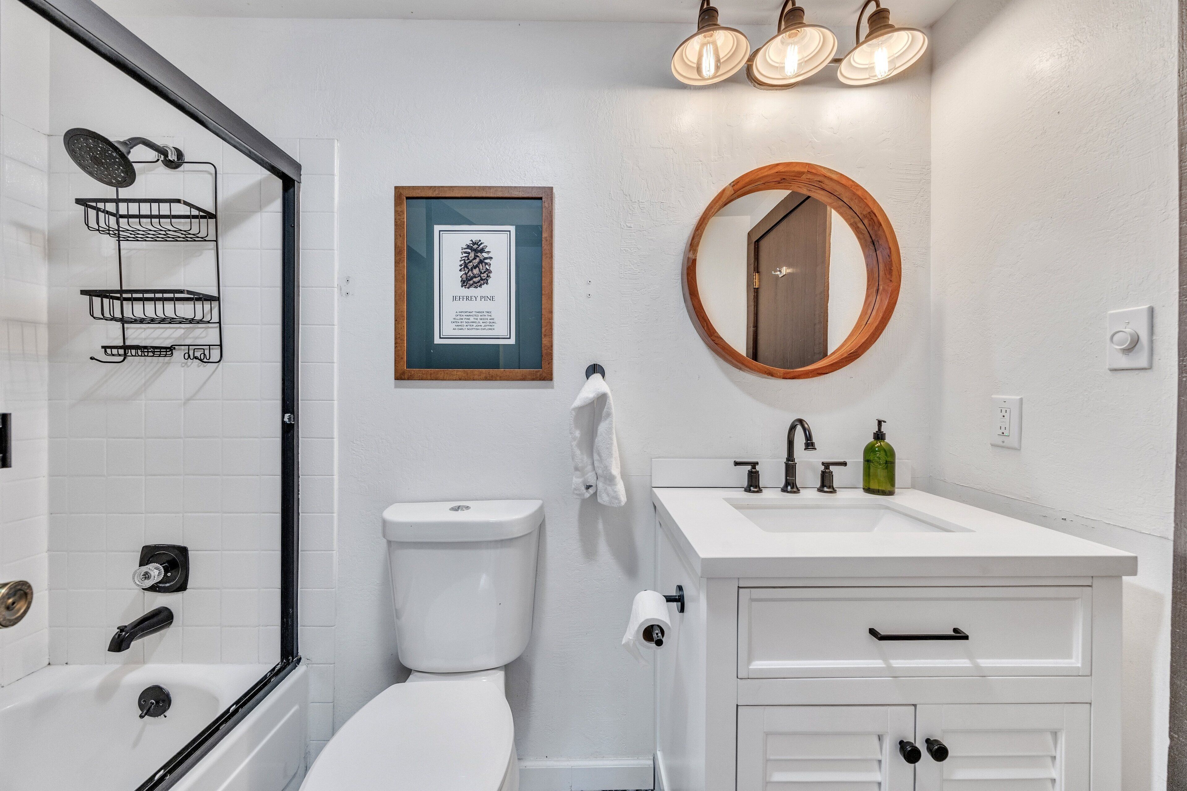 A bathroom with a white sink, a mirror, a framed picture, a shower, and a toilet.