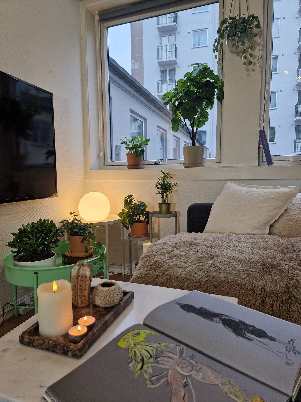 A bedroom with a bed, a bedside table with a lamp, a TV, and potted plants.