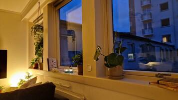Habitación con ventana que da a un edificio, un radiador, un sofá y varias plantas en macetas.