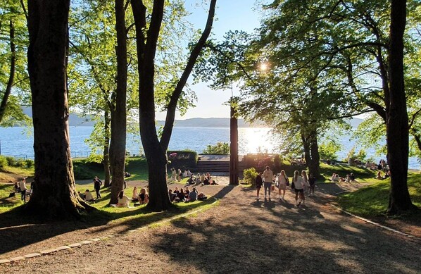 Ein Park mit Bäumen, einem Weg und einem Gewässer im Hintergrund.