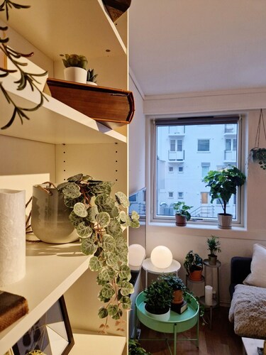 Cozy condo near Bryggen, Full kitchen, Elevator