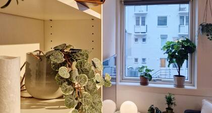 Cozy condo near Bryggen, Full kitchen, Elevator