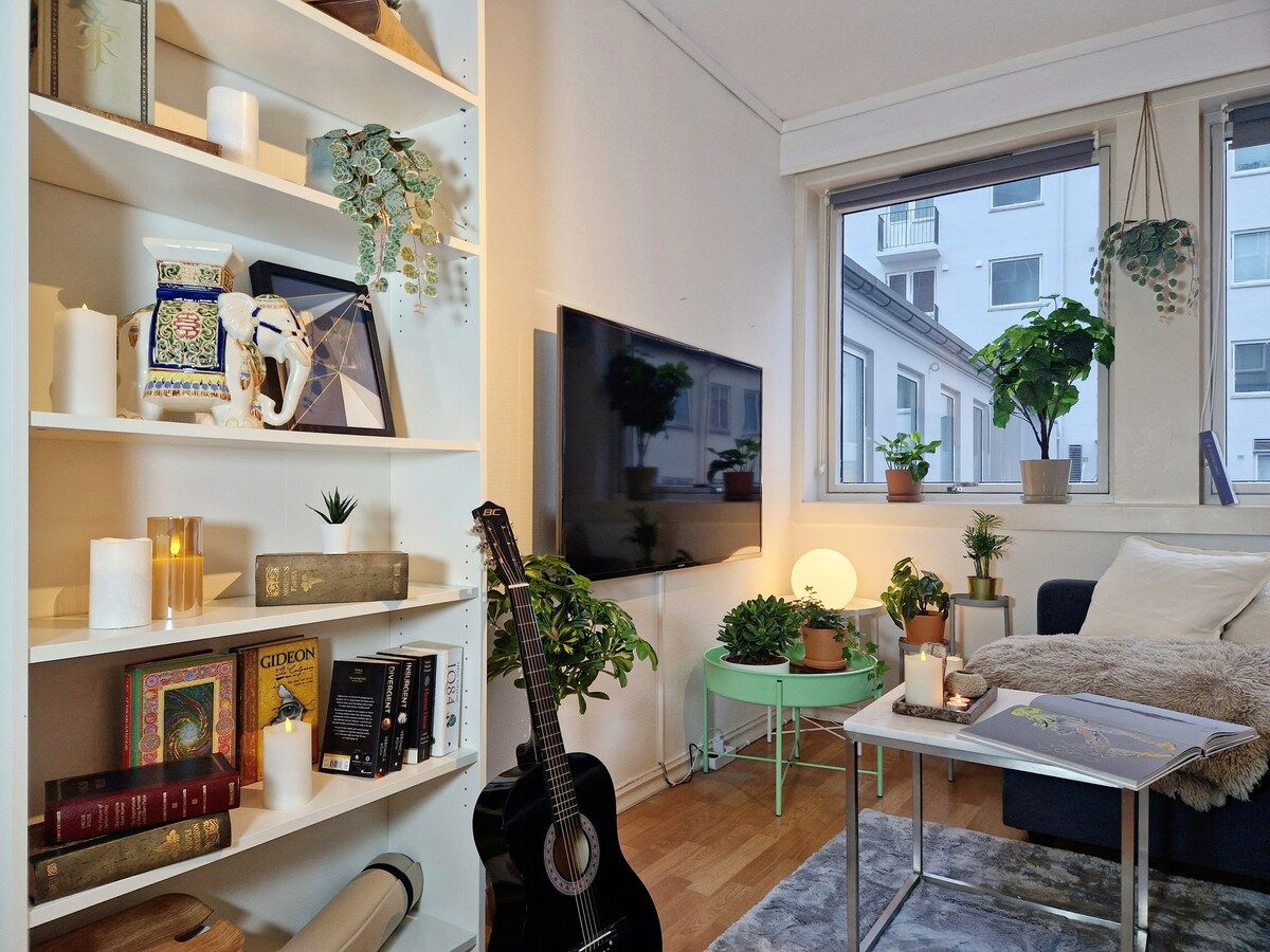 A cozy living room with a bookshelf, a guitar, a TV, and a window with plants.