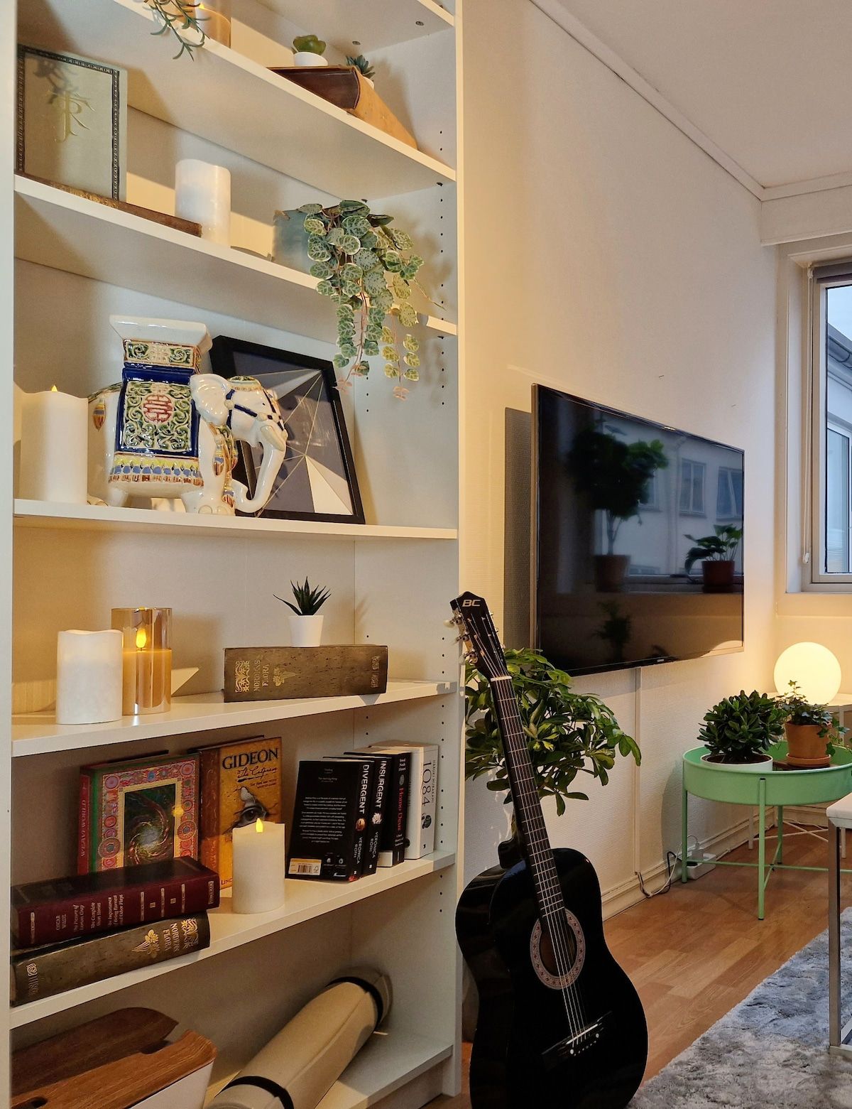 Un salon avec une bibliothèque, une guitare, un téléviseur et une petite table sur laquelle est posée une plante.