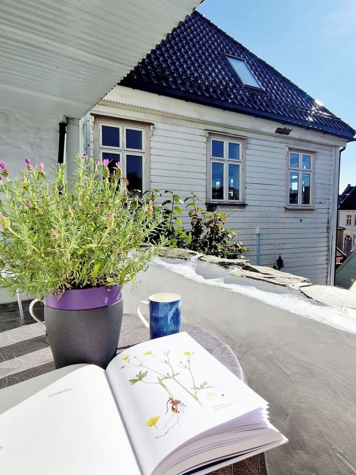 Overnatningsstedets område