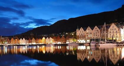 High standard, spacious apartment near Bryggen