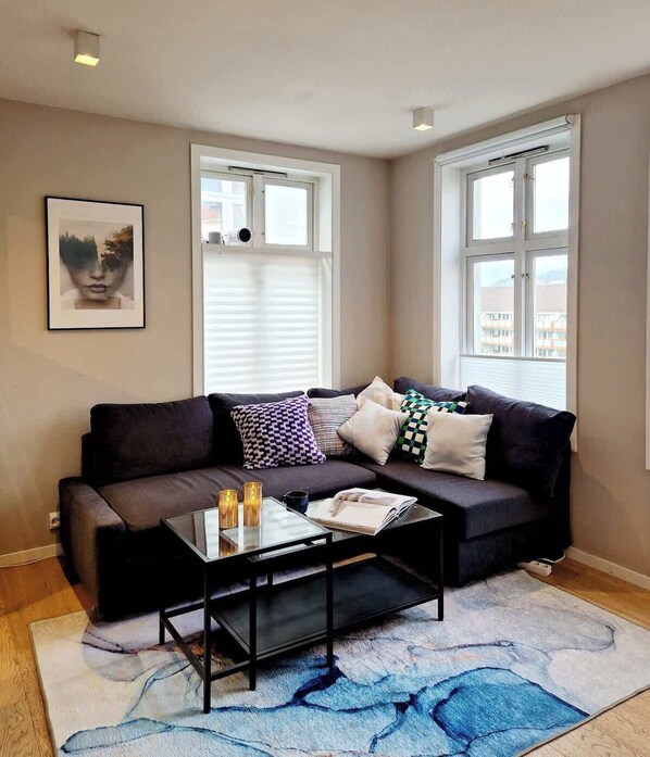 Fernseher, Arbeitsbereiche