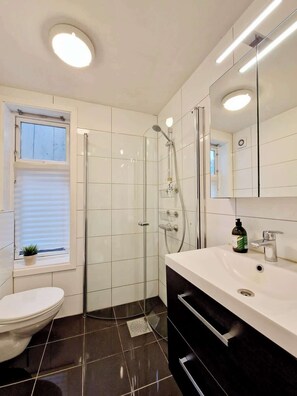 Shower, hair dryer