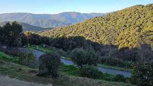 Une route sinueuse qui traverse une vallée boisée, avec des montagnes en arrière-plan.