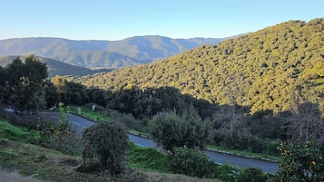 Uitzicht vanuit accommodatie