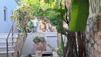 Vila | Área da propriedade