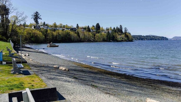 A beach with a row of benches, a rocky shoreline, and a forested hill in the background.