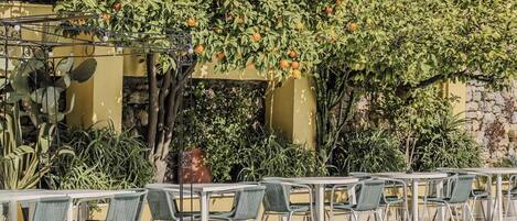 Un espacio al aire libre con mesas, sillas, una piscina y diversas plantas y árboles.