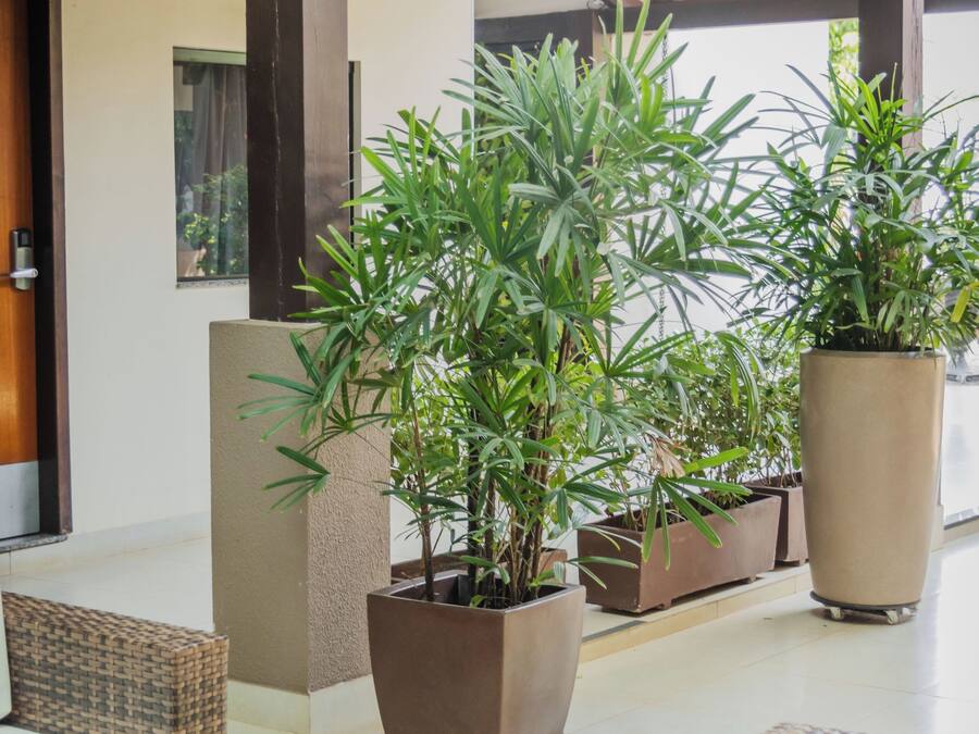 Áreas de la propiedad