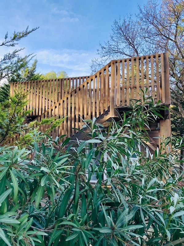 Un escalier en bois mène à une terrasse en bois, elle-même entourée d’une végétation luxuriante.