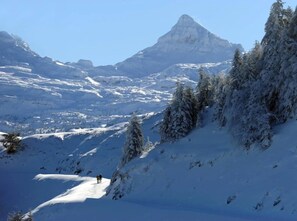 Unclassified image, 3 of 19, button