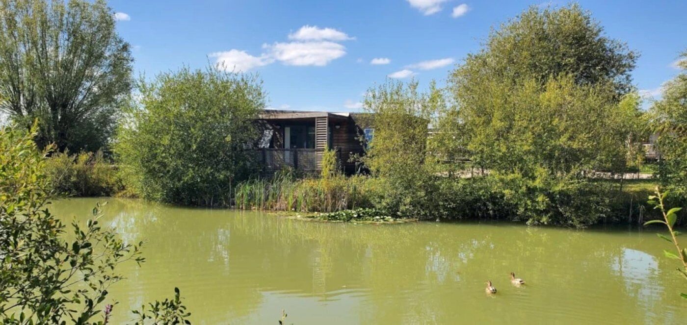 Une cabane en bois au bord d’un étang où nagent des canards.