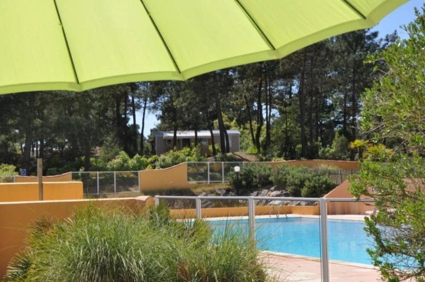 En swimmingpool med en grøn parasol, omgivet af vegetation og et hegn.