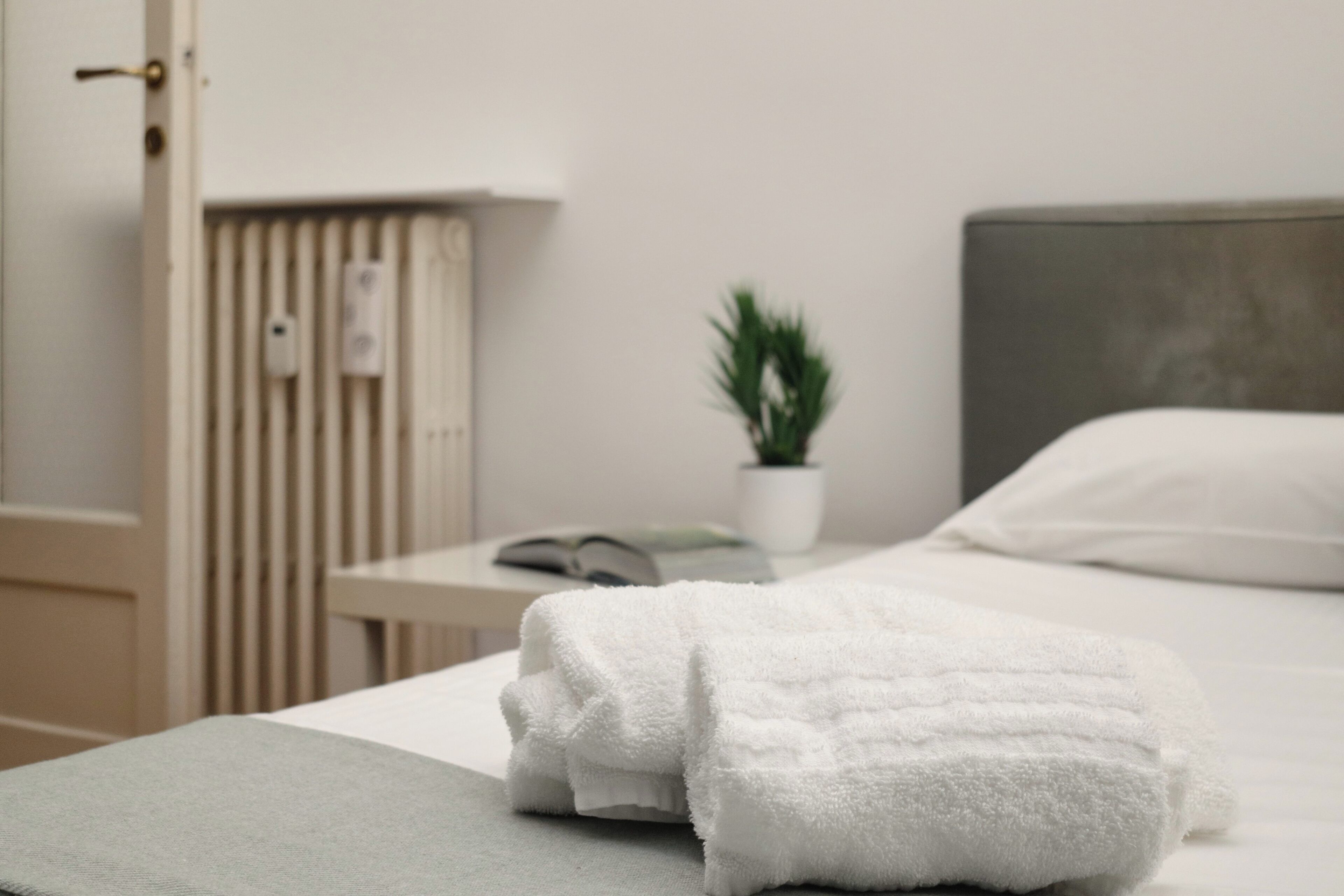 A neatly made bed with a folded white towel, a bedside plant, and a white pillow.