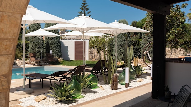 Un espace aménagé au bord de la piscine, avec des chaises longues, des parasols et une petite plante de cactus.