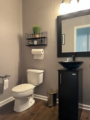 Towels, toilet paper - Beautifu 3-bedroom house with WiFi and AC in delightful Charlotte (Charlotte)