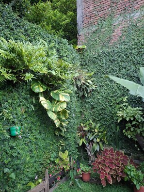 Jardim