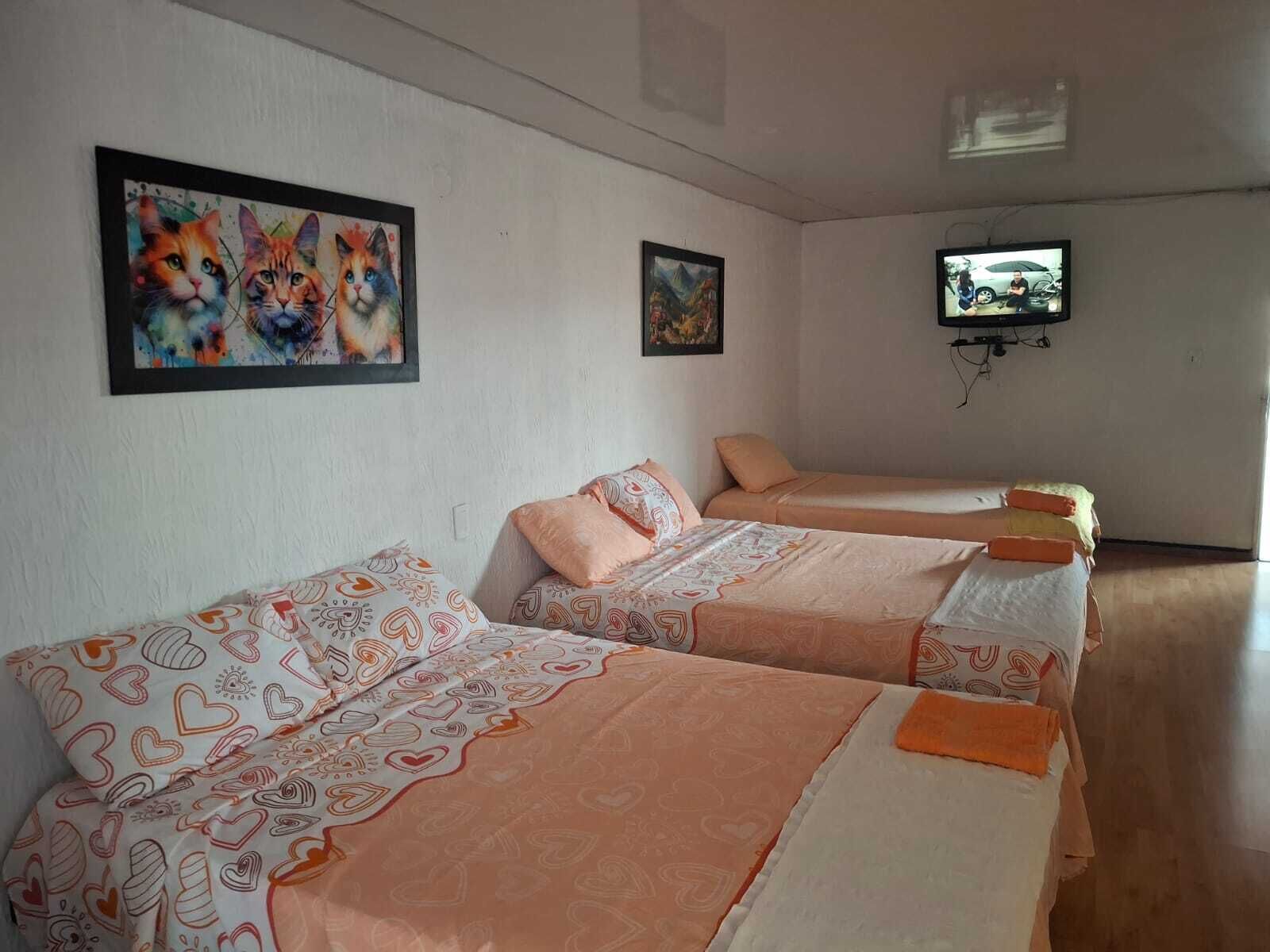 Habitación con tres camas, cada una con ropa de cama estampada y diseños de corazones. Hay dos cuadros en las paredes, uno de gatos y otro de un paisaje. Un televisor está montado en la pared.