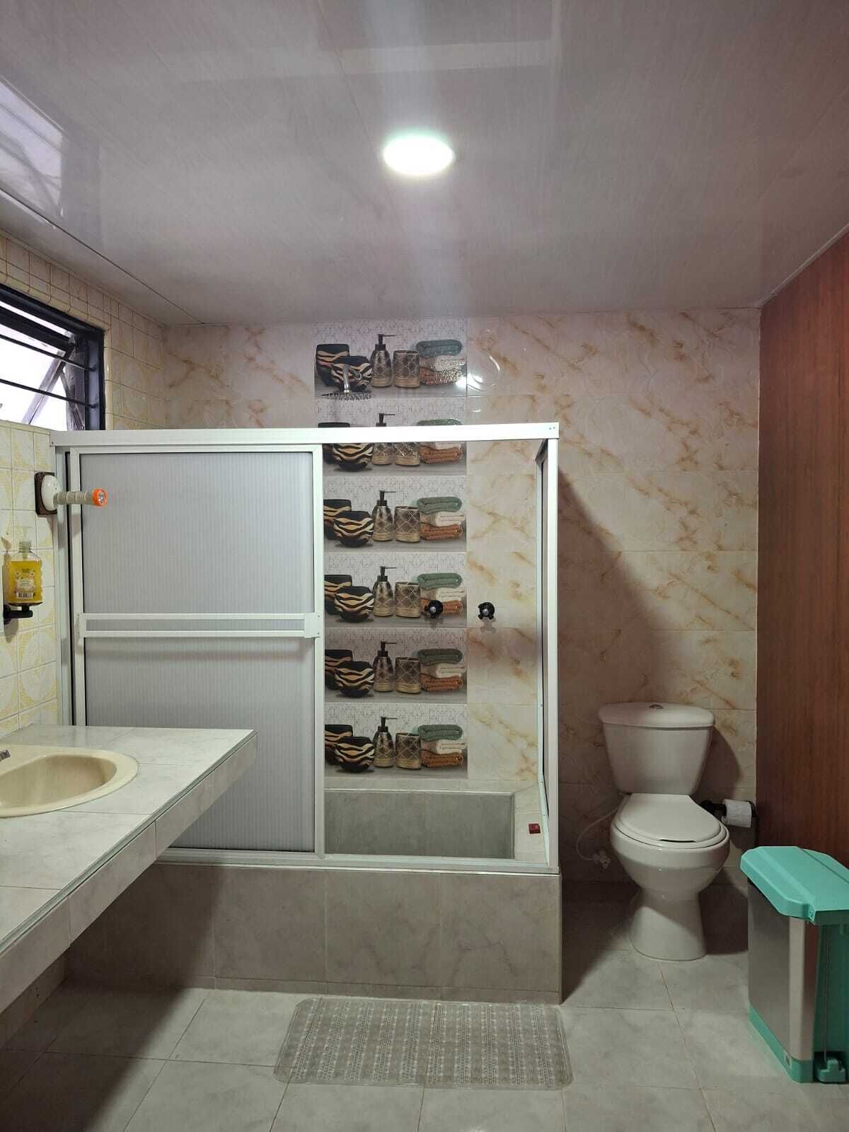 A bathroom with a white sink, a toilet, and a shower stall with shelves for toiletries.
