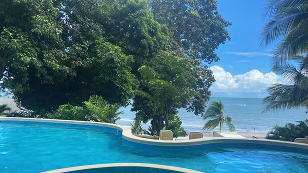 A swimming pool with a curved edge, surrounded by lush greenery and a view of the ocean.