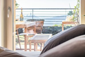 Estudio (0 Bedroom) | Terraza o patio