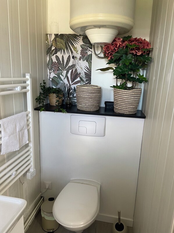 Shower, toilet paper