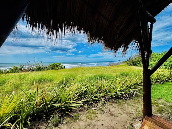 Blick auf einen Strand mit einer strohgedeckten Konstruktion, grünem Gras und blauem Himmel.